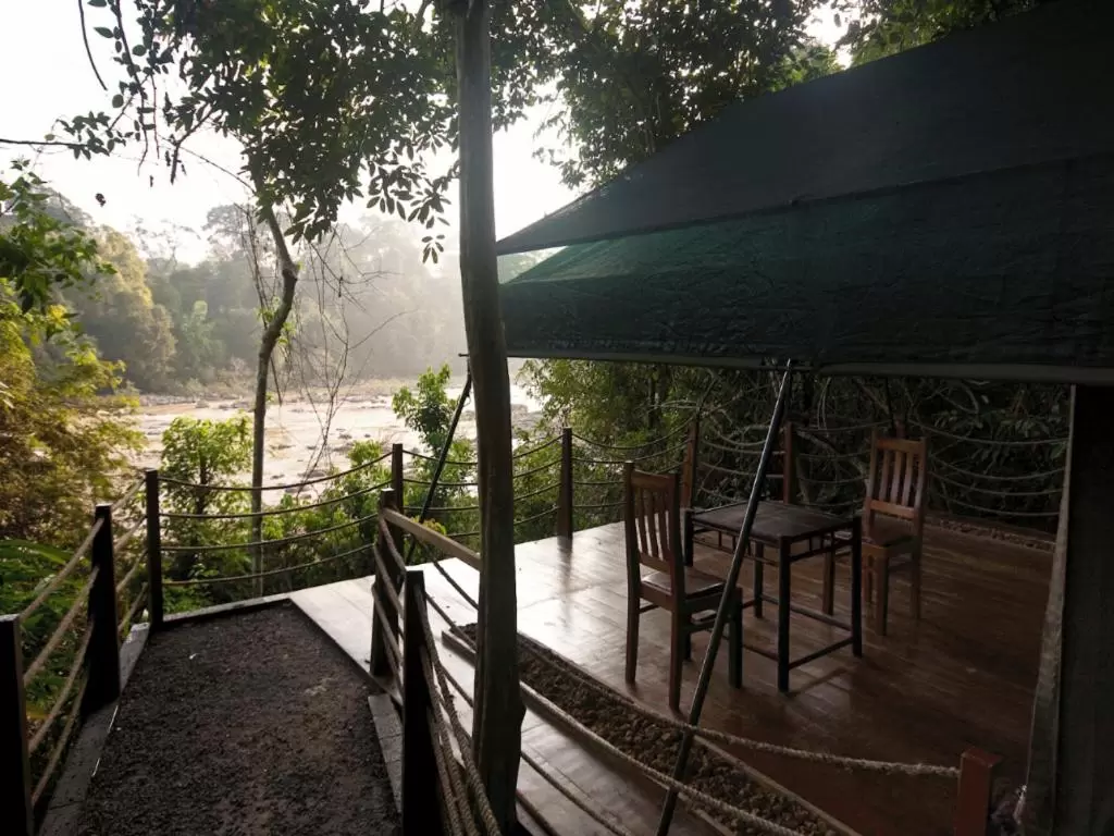 FOREST FLOOR LODGE